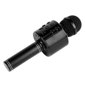 Микрофон1