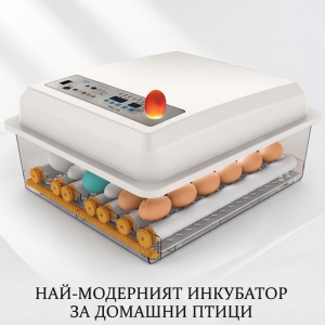 Инкубатор